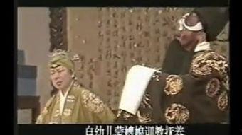 桑之叶,自然之宝的神奇转化之旅