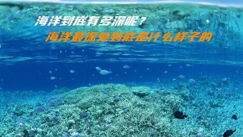 海洋有多深,探索无垠深渊的奥秘
